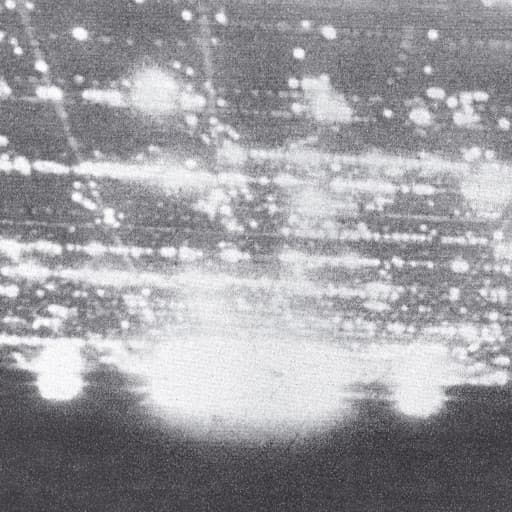 Album cover art for Going Places