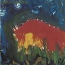 Meat Puppets II (Deluxe Edition)