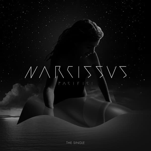 Narcissus (Alan Braxe Remix)