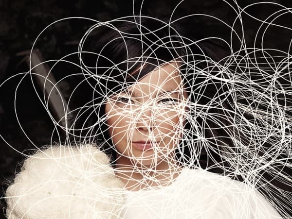 The Video Album Collection - Homogenic & Vespertine