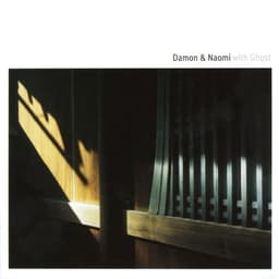Damon & Naomi
