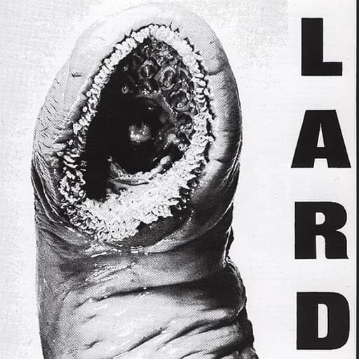 Power of Lard - EP