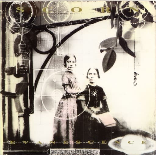 Album cover art for Evanescence