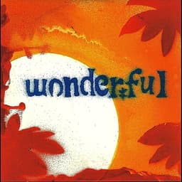 Wonderful