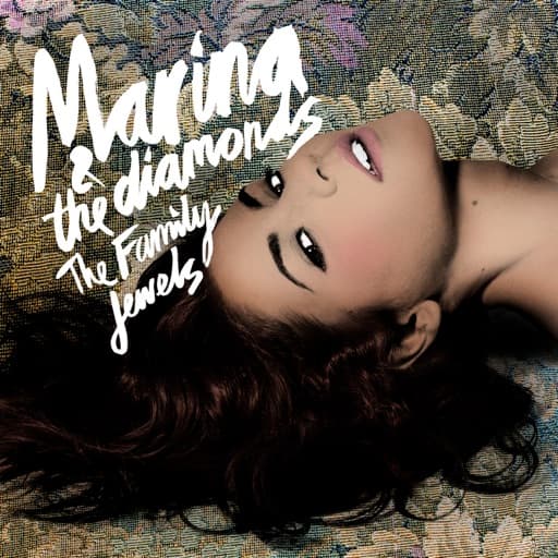 Album cover art for The Family Jewels