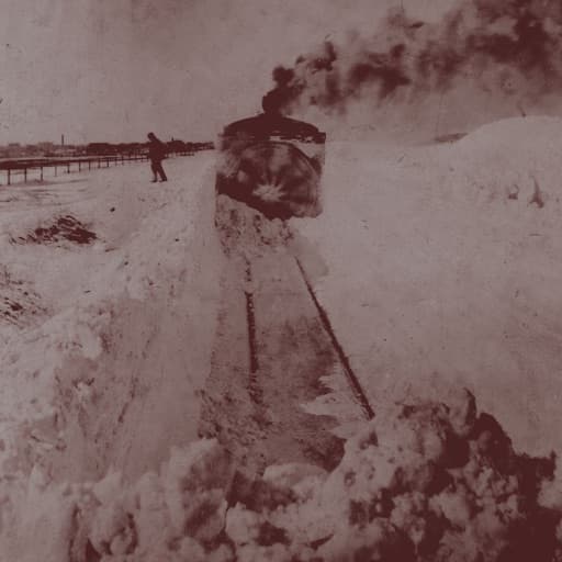 Out Into the Snow
