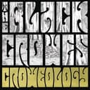 Croweology (Acoustic Versions)