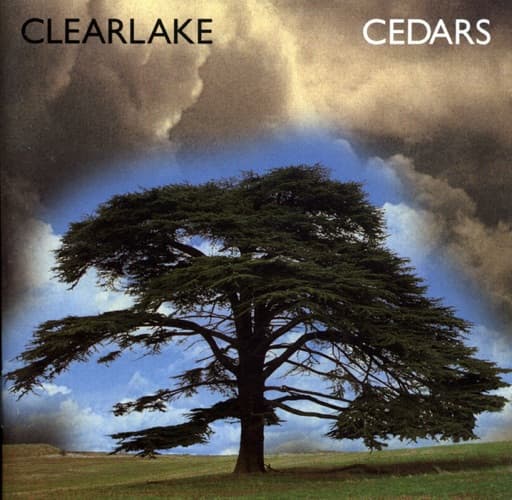 Cedars