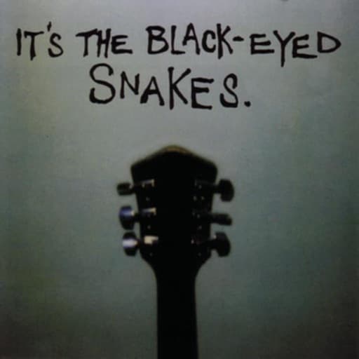 It's the Black Eyed Snakes