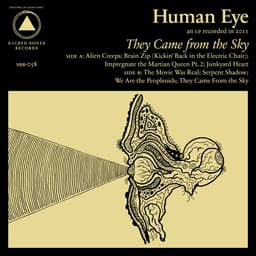 Human Eye
