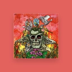Master Musicians of Bukkake