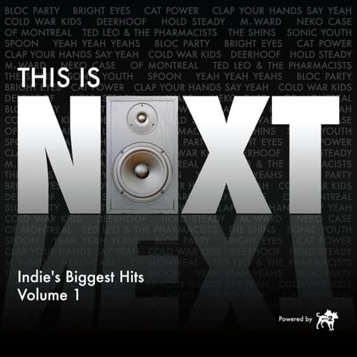 This Is Next - Indie's Biggest Hits, Vol. 1