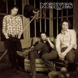 Nerves