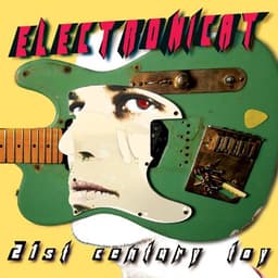 Electronicat