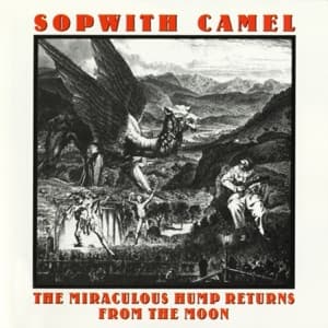 The Miraculous Hump Returns from the Moon