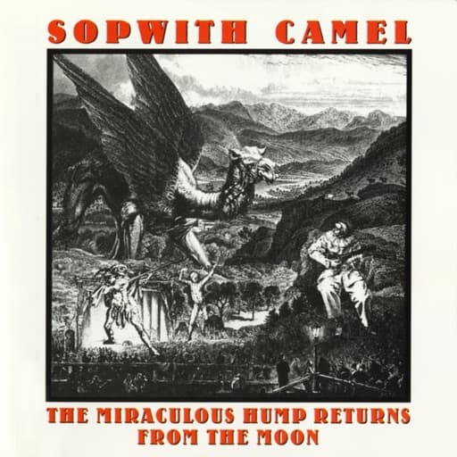 The Miraculous Hump Returns from the Moon
