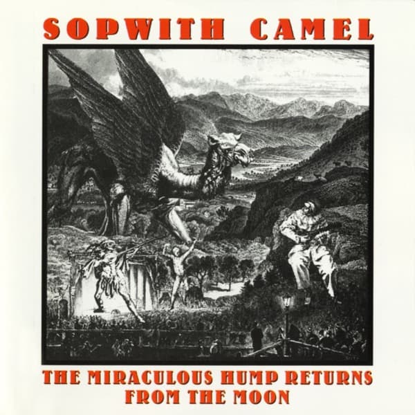 The Miraculous Hump Returns from the Moon