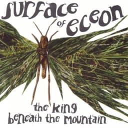 Surface of Eceon