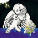 Magnolia Electric Co. (Deluxe Edition) by Songs: Ohia