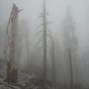 Mount Eerie Pts. 6 & 7 by Mount Eerie