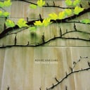 The Dream House / Dedications to Flea by Windy & Carl