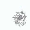 Chandelier by Miko