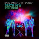 Death of a Pop Star by David Banner