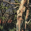 Asleep Many Years In the Woods by The Anomoanon