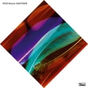 Smother by Wild Beasts