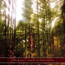Songs for the Broken Hearted by Windy & Carl