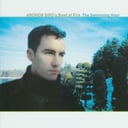 The Swimming Hour by Andrew Bird