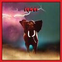Spirit Animal by Zombi