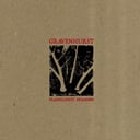 Flashlight Seasons by Gravenhurst