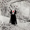 Black Forest / Black Sea by Black Forest / Black Sea