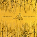 Brand New Towns by Robert Gomez
