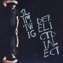 Derelict Dialect by Slim Twig