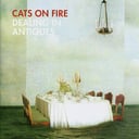 Dealing In Antiques by Cats On Fire