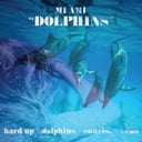 Dolphins by Mi Ami