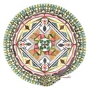 Peer Amid (feat. Daniel Higgs) (Bonus Track Version) by The Skull Defekts