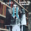 Ignore the Ignorant by The Cribs