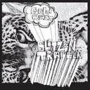Field Rexx by Blitzen Trapper
