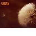 Unseen Forces by Sagan