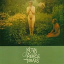 Peace Trials by Kites