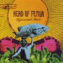 Hysterical Stars by Head of Femur
