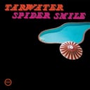 Spider Smile by Tarwater