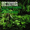All the Birds Were Anarchists by September Collective