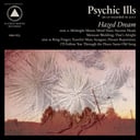 Hazed Dream by Psychic Ills