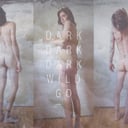 Wild Go by Dark Dark Dark