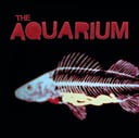 The Aquarium by The Aquarium