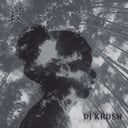 Jaku by DJ KRUSH